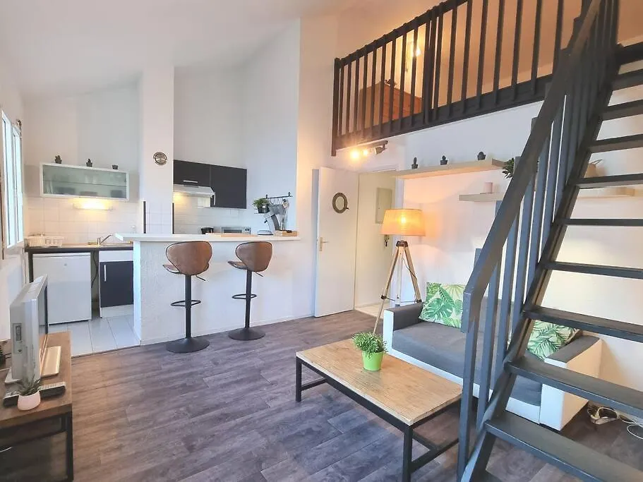 Duplex Cosy - Toulouse Apartment 0*,  France